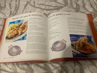 El gran libro del Wok