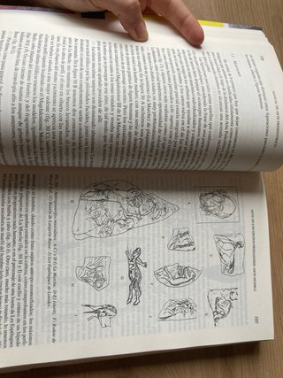 Manual de arte prehistórico