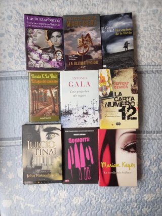 LOTE DE 97 LIBROS