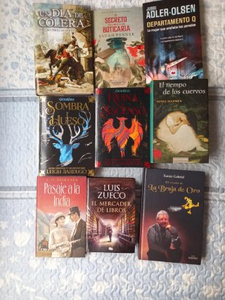 LOTE DE 97 LIBROS