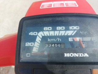 Honda Scoopy SH75