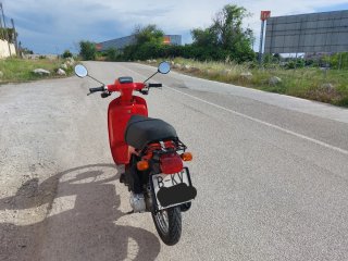 Honda Scoopy SH75