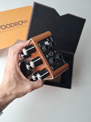 Amplificador Woodrow '55 Instrument