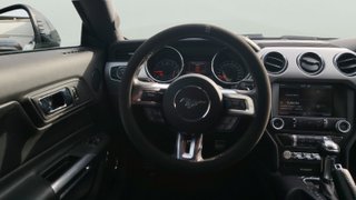 Ford Mustang 2.3 EcoBoost Fastback Auto 231 kW (310 CV)