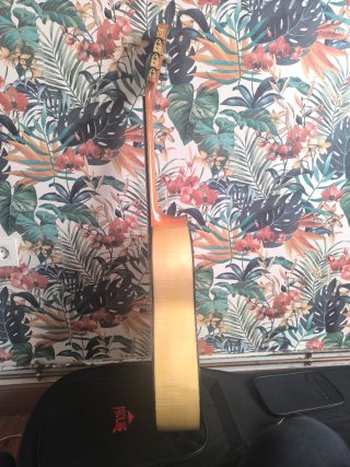 Guitarra Flamenca Tomás Leal
