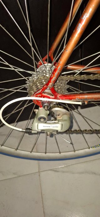 Bicicleta Clásica Talla 48