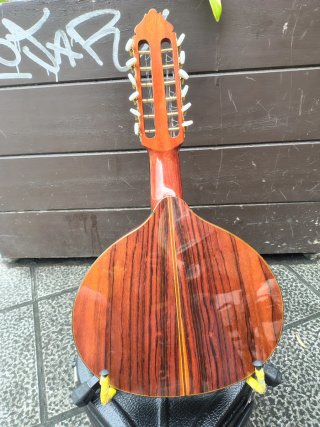 Bandurria M. Leal Palo Santo