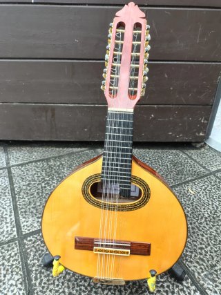 Bandurria M. Leal Palo Santo