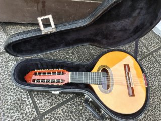 Bandurria M. Leal Palo Santo