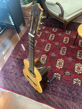Guitarra Martinez Madera Maciza