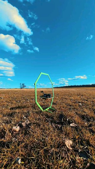 DJI Puerta plegable FPV Drone