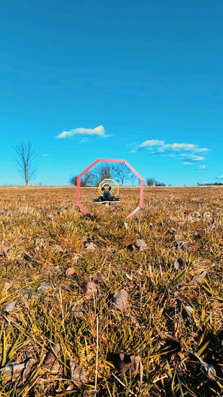 DJI Puerta plegable FPV Drone