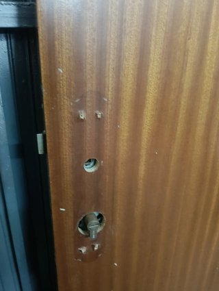 Puerta Madera Blindada