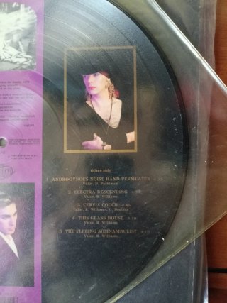 Christian Death Catastrophe Ballet Vinilo