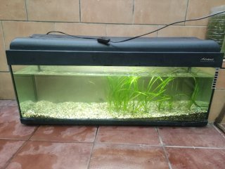 Acuario 105L Completo Negro