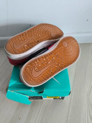Zapatillas Nike SB Azul/Rojo