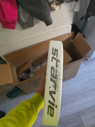 Starvie Triton Pro 2024