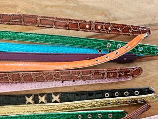 Lote collares perro/gato resto de tienda