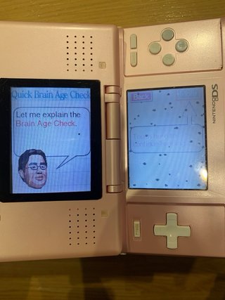 Lote Nintendo DS Rosa + Accesorios