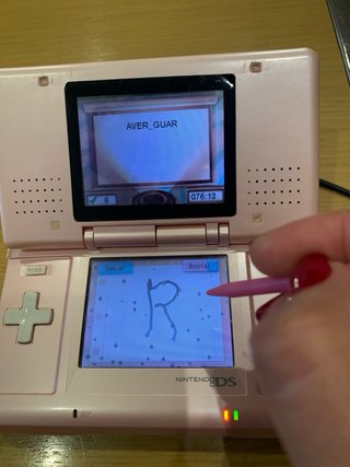 Lote Nintendo DS Rosa + Accesorios