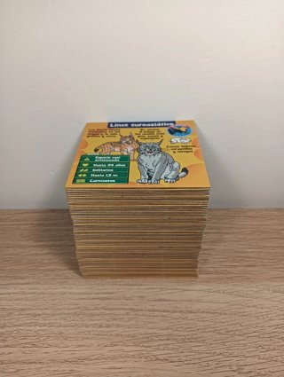 BrainBox Animales juego de mesa