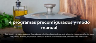 Placa Inducción Portátil Cecotec