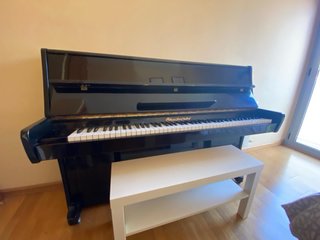 Piano Chaikovsky Negro
