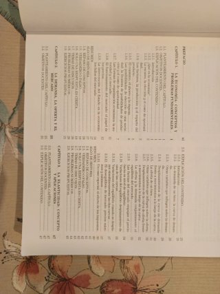 Economía - teoría y práctica