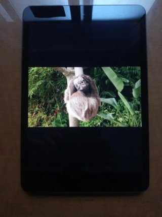 Apple iPad Negro A1432