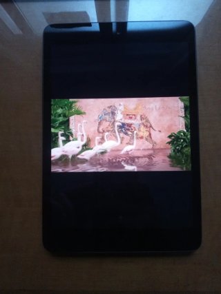 Apple iPad Negro A1432