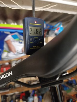 Bicicleta eléctrica Amflow PL Carbon talla L