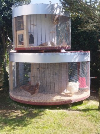 Gallinero y pajarera exterior negociable