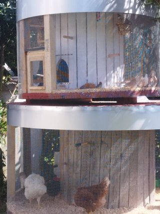 Gallinero y pajarera exterior negociable