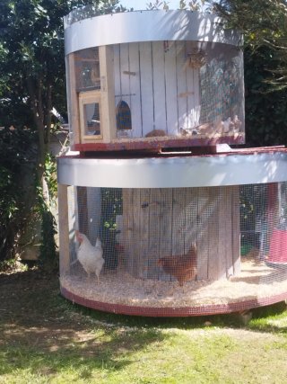 Gallinero y pajarera exterior negociable