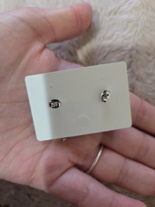 Pendientes Acero Inoxidable Plateados
