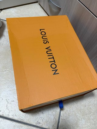 Louis Vuitton Skate Cappuccino Beige/Marrone