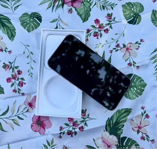 iPhone 15 Pro Max Titanio