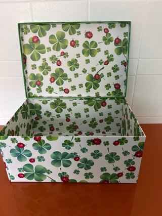 Caja de almacenaje con tréboles y mariquitas