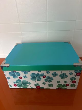 Caja de almacenaje con tréboles y mariquitas