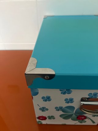 Caja de almacenaje con tréboles y mariquitas
