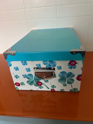 Caja de almacenaje con tréboles y mariquitas