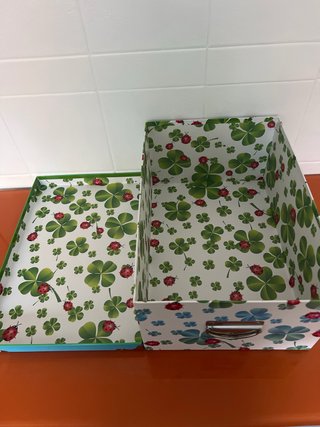 Caja de almacenaje con tréboles y mariquitas