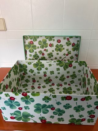 Caja de almacenaje con tréboles y mariquitas