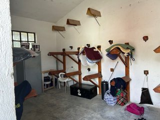 Pupilajes , boxes, limpieza diaria,