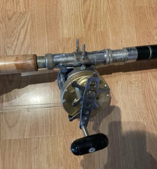 Carrete Pesca Daiwa Sealine 300