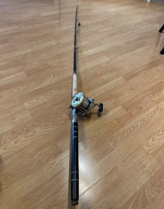 Carrete Pesca Daiwa Sealine 300