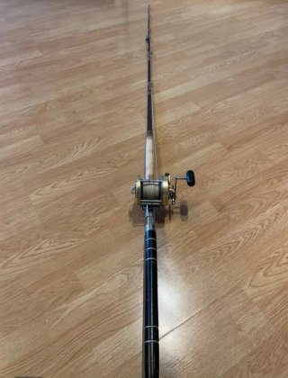 Carrete Pesca Daiwa Sealine 300