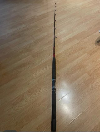 Carrete Pesca Daiwa Sealine 300