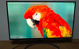 Monitor LG 32 pulgadas QHD 1440P