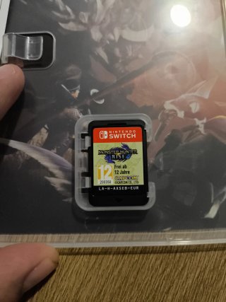 Monster Hunter Rise Nintendo Switch